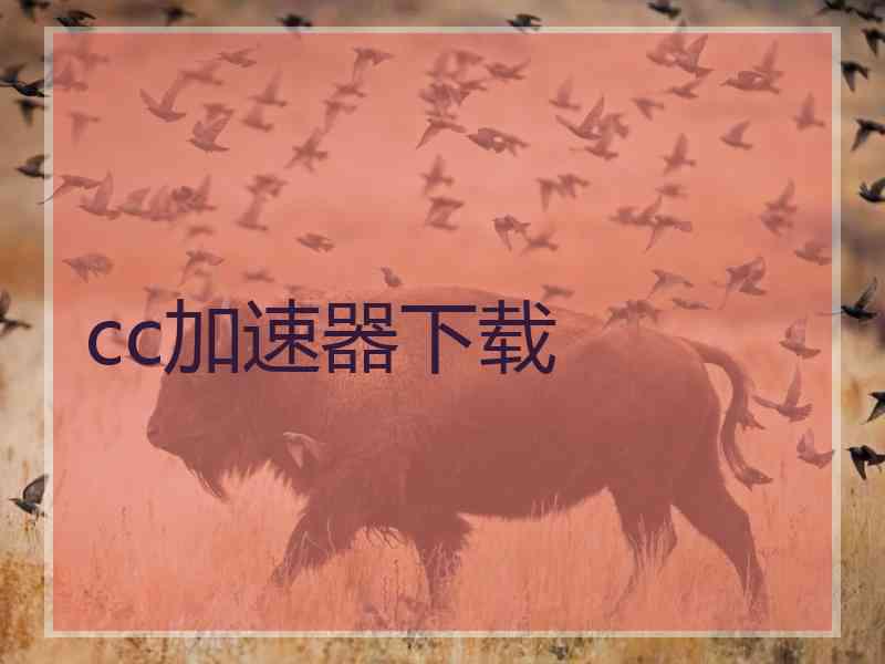 cc加速器下载