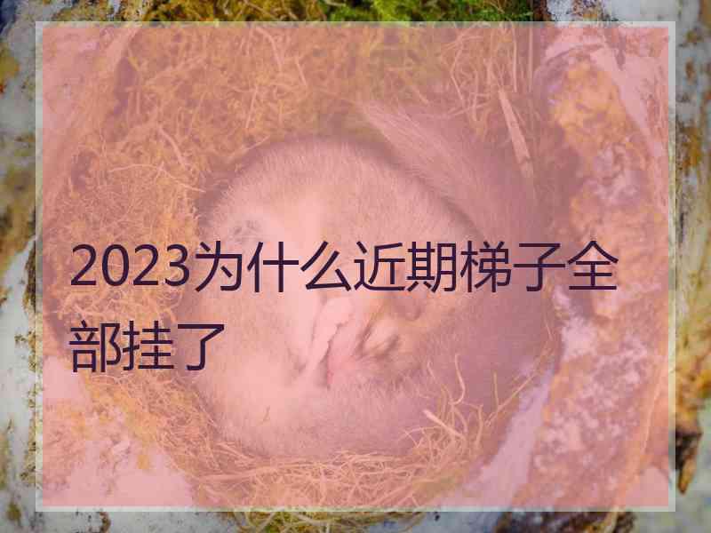 2023为什么近期梯子全部挂了