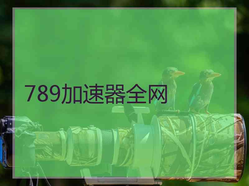 789加速器全网