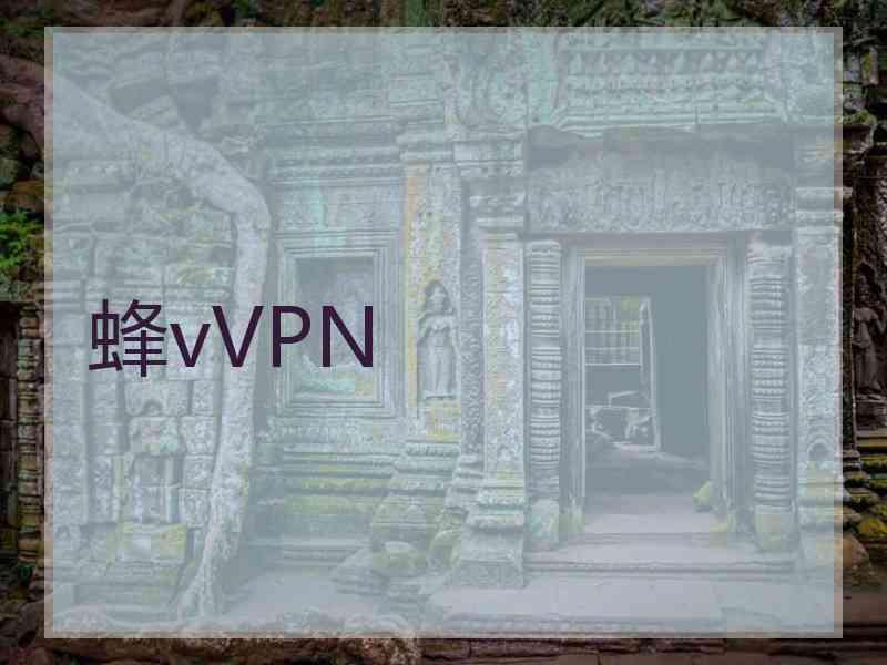 蜂vVPN