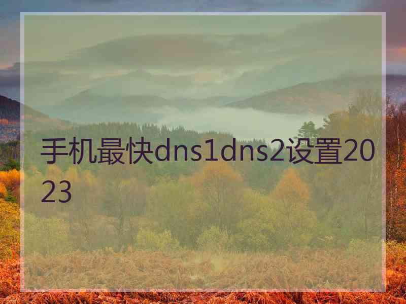 手机最快dns1dns2设置2023