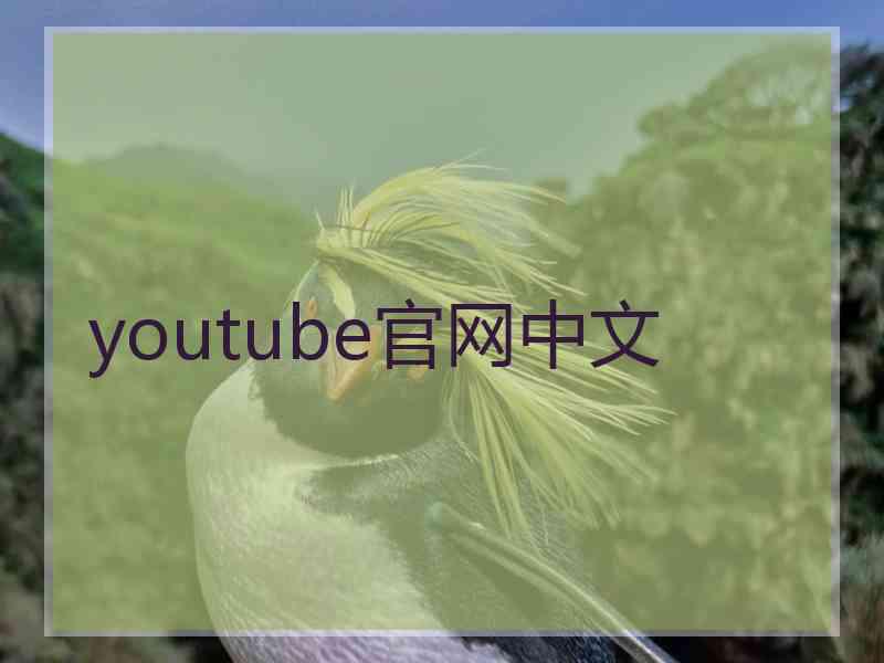 youtube官网中文