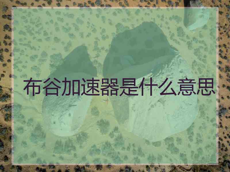 布谷加速器是什么意思