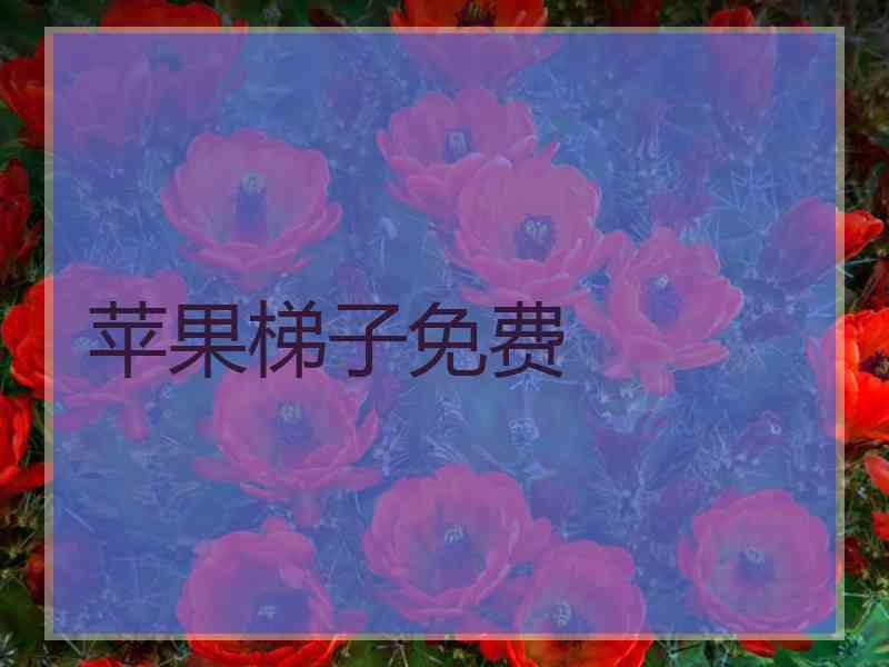 苹果梯子免费
