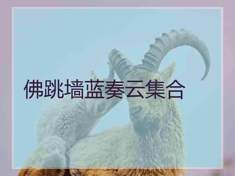 佛跳墙蓝奏云集合