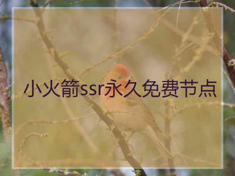 小火箭ssr永久免费节点