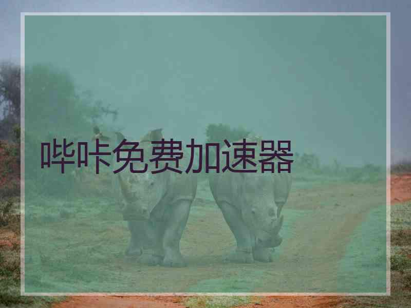 哔咔免费加速器