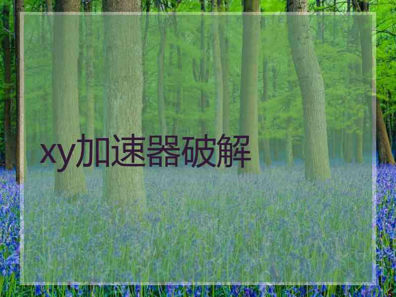 xy加速器破解