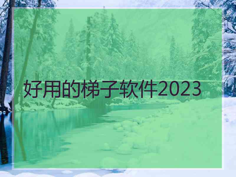 好用的梯子软件2023