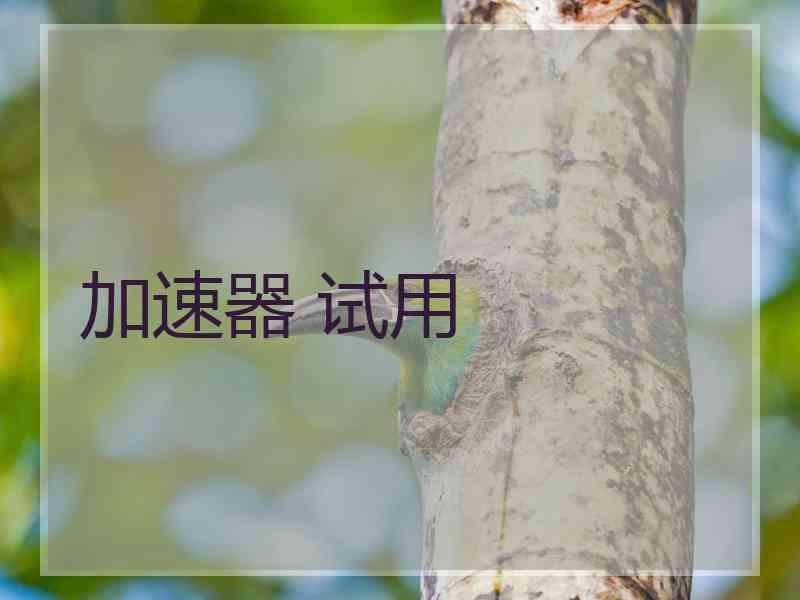 加速器 试用