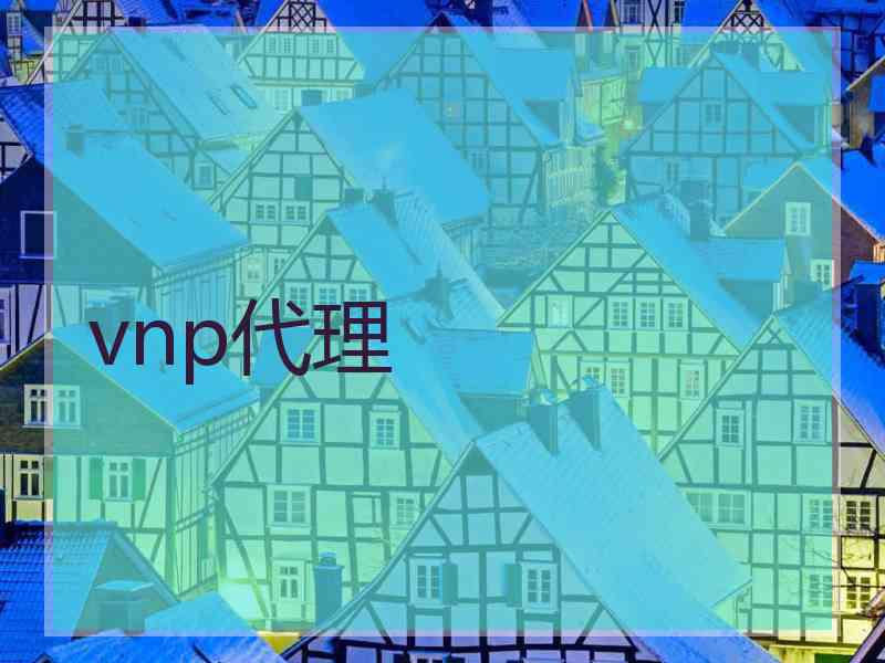 vnp代理