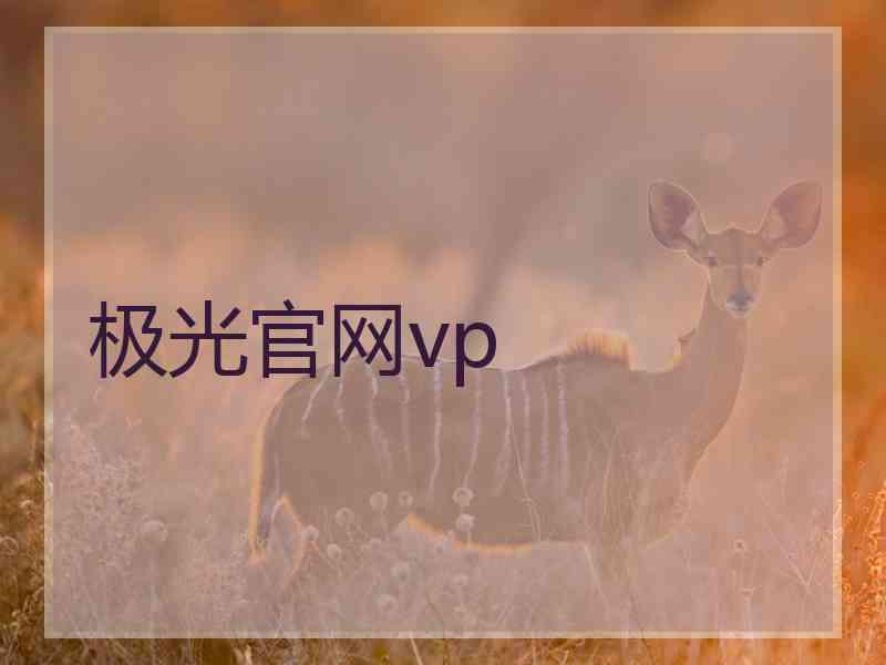 极光官网vp