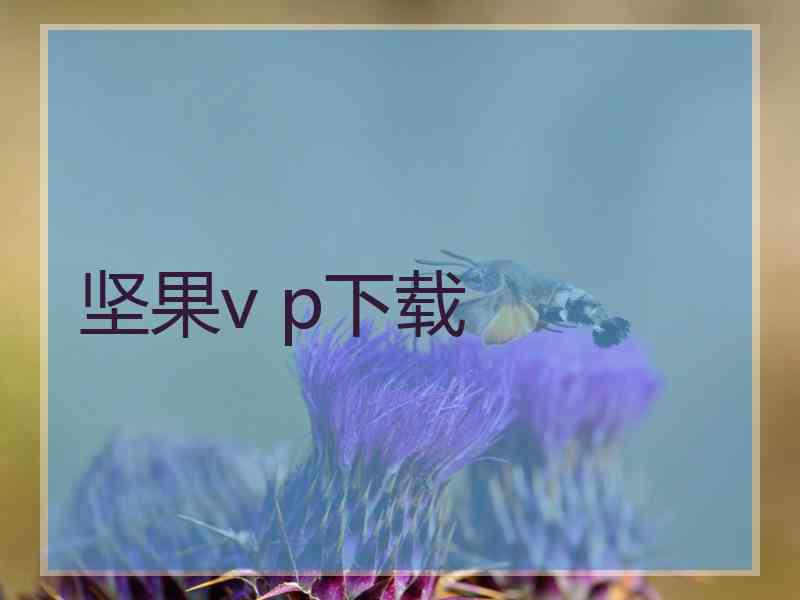 坚果v p下载