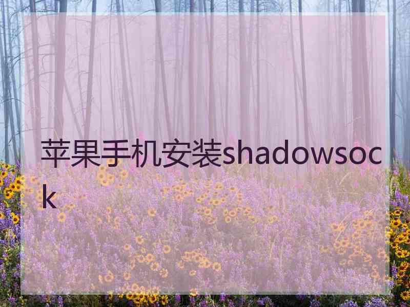 苹果手机安装shadowsock