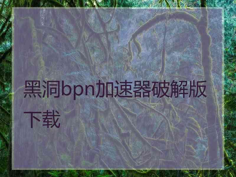 黑洞bpn加速器破解版下载