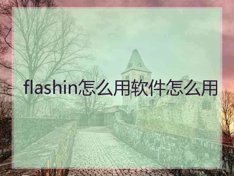 flashin怎么用软件怎么用