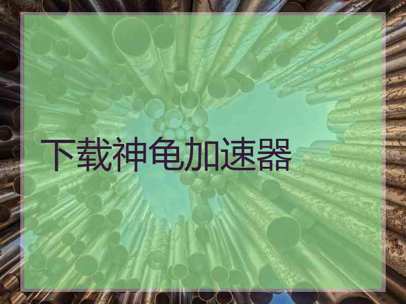 下载神龟加速器