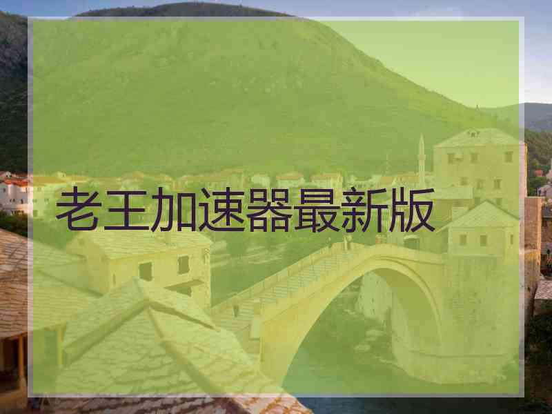 老王加速器最新版