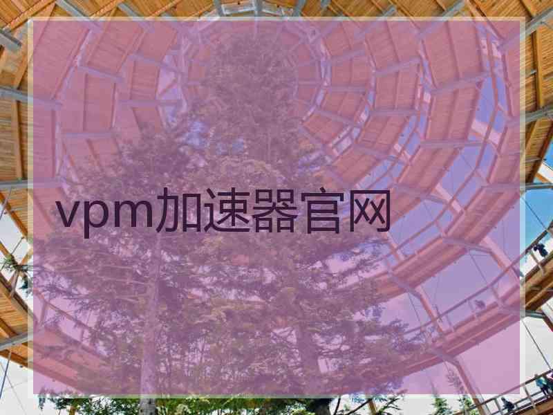 vpm加速器官网
