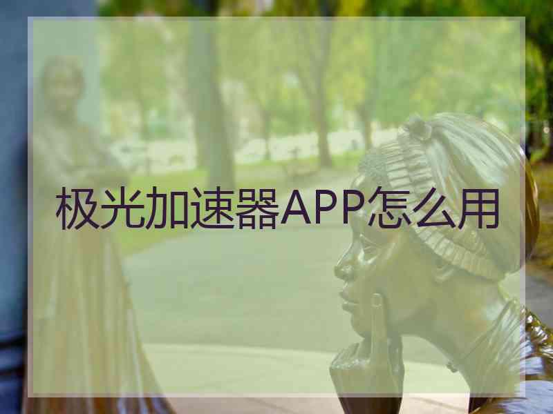 极光加速器APP怎么用