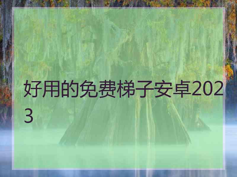 好用的免费梯子安卓2023