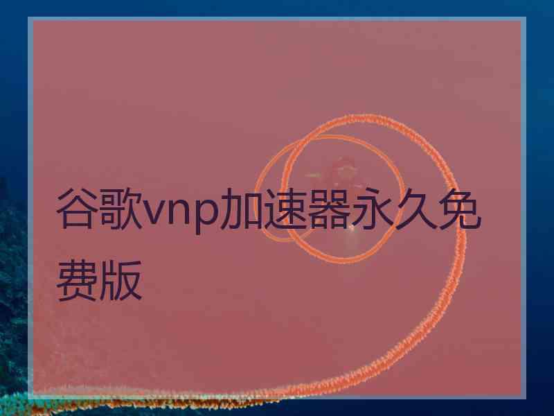 谷歌vnp加速器永久免费版
