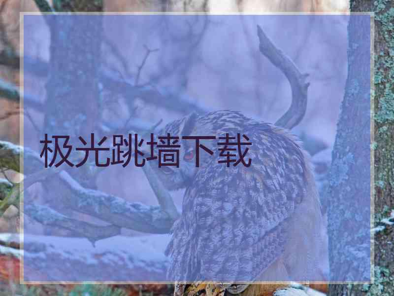 极光跳墙下载