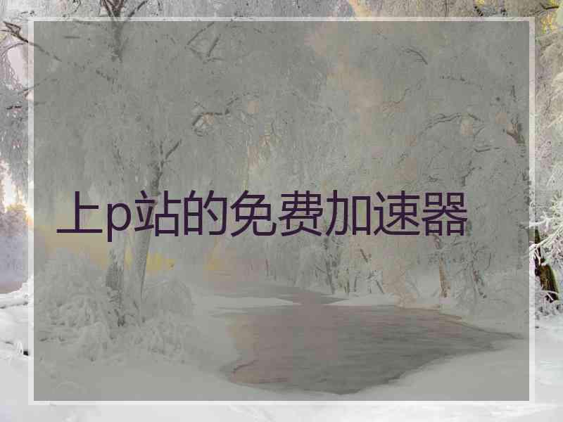 上p站的免费加速器