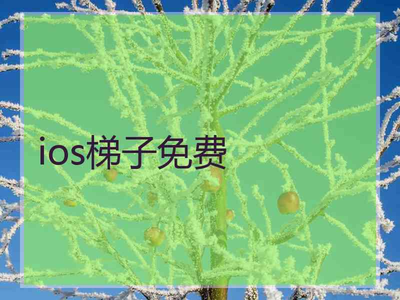 ios梯子免费