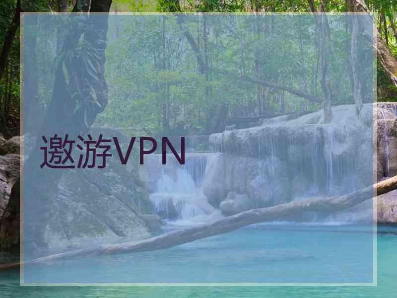 邀游VPN