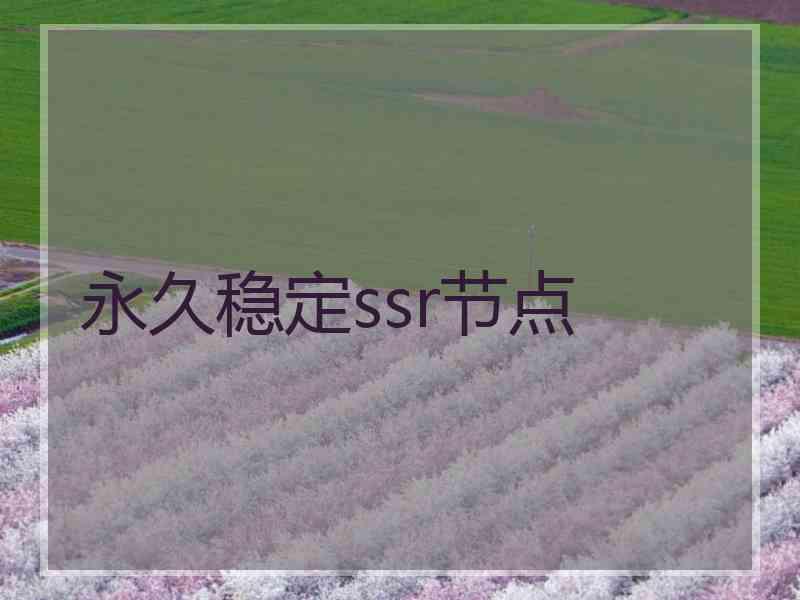 永久稳定ssr节点