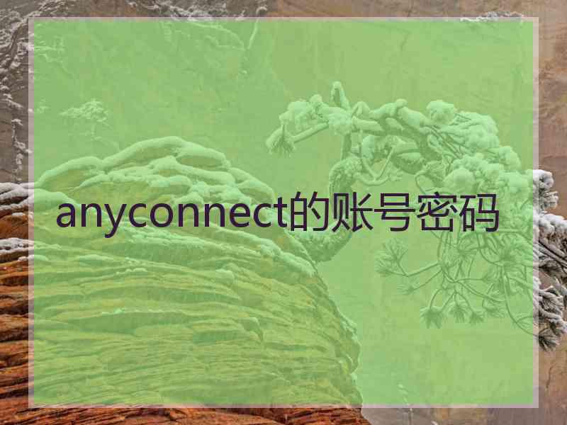 anyconnect的账号密码