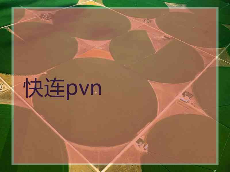 快连pvn