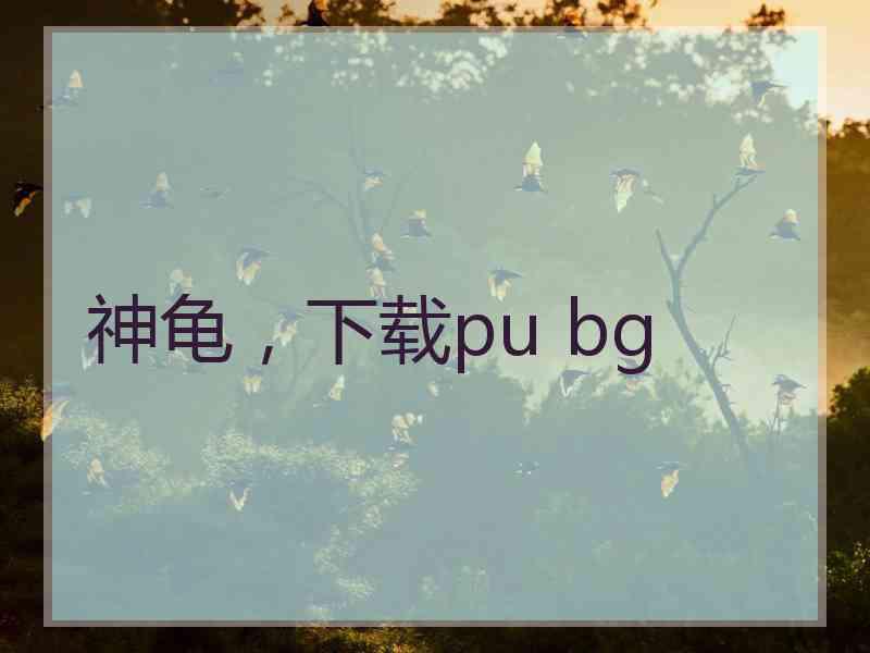 神龟，下载pu bg