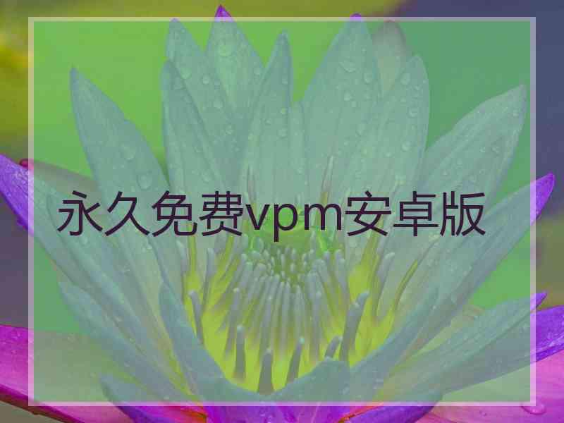 永久免费vpm安卓版