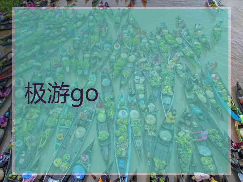 极游go