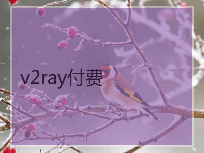 v2ray付费