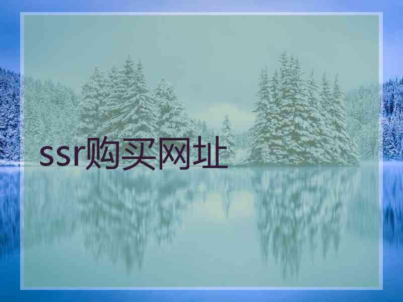 ssr购买网址