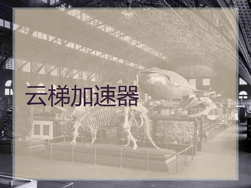 云梯加速器