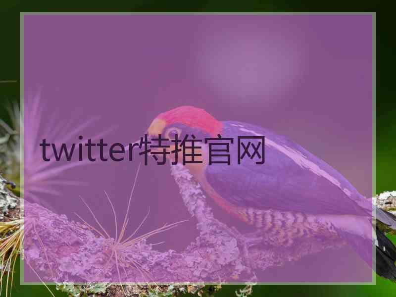 twitter特推官网