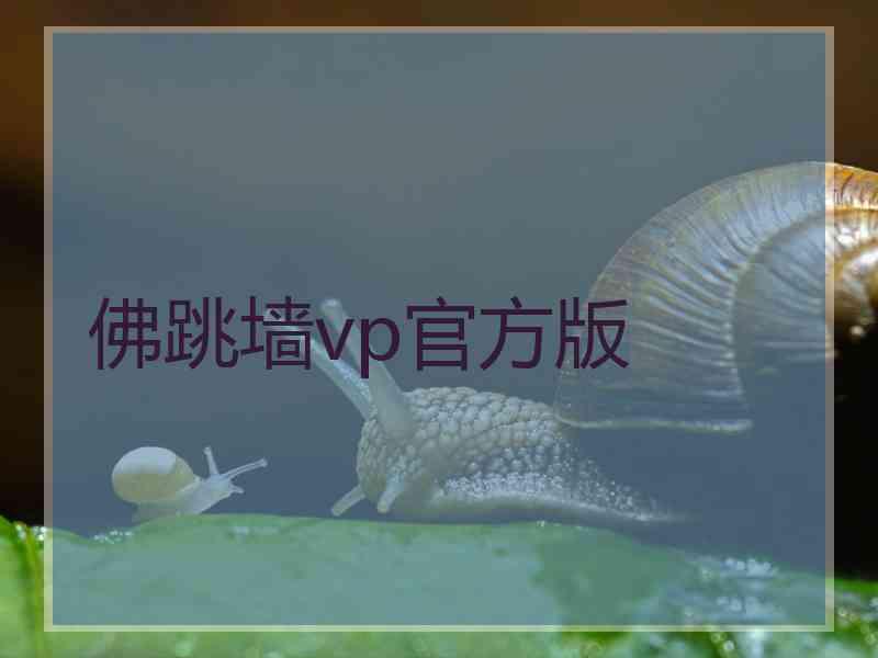 佛跳墙vp官方版
