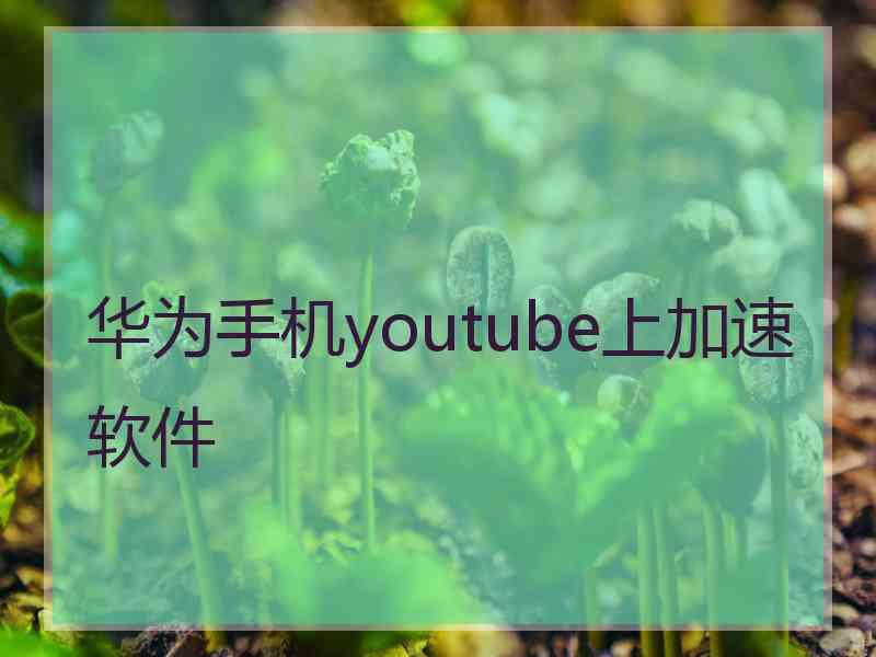 华为手机youtube上加速软件