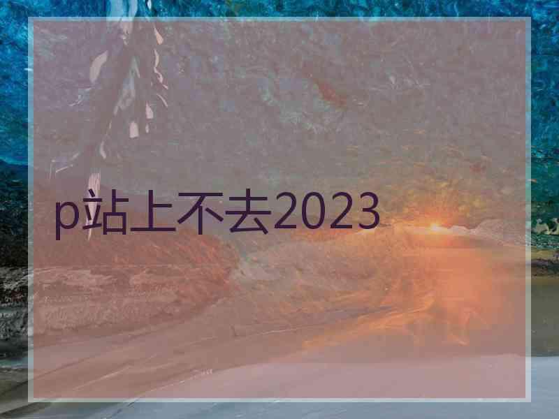 p站上不去2023