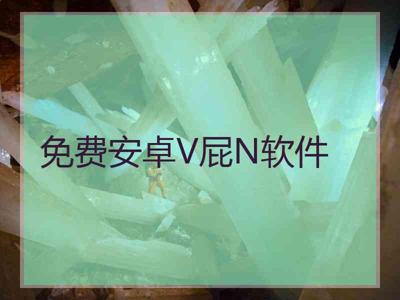 免费安卓V屁N软件