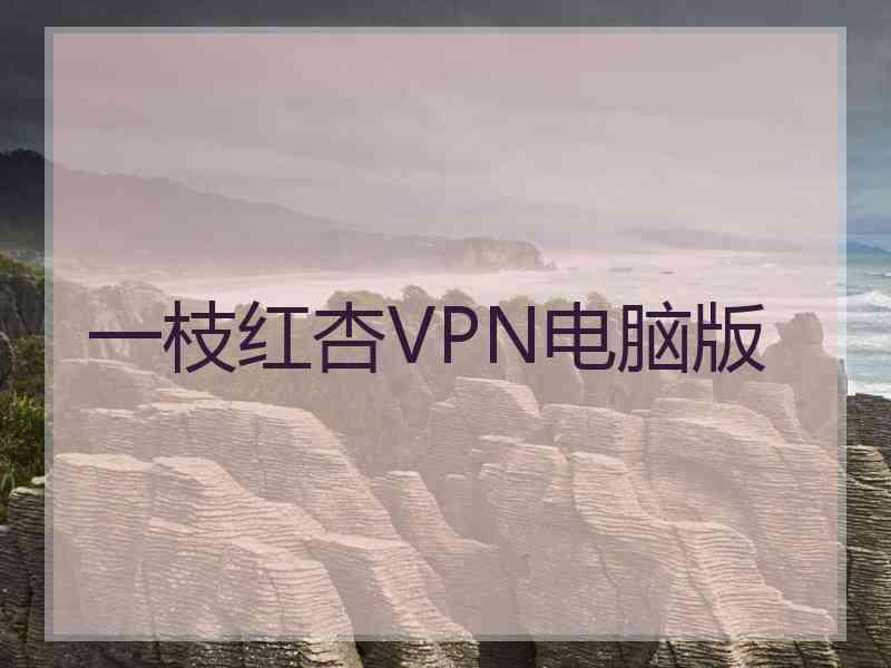 一枝红杏VPN电脑版
