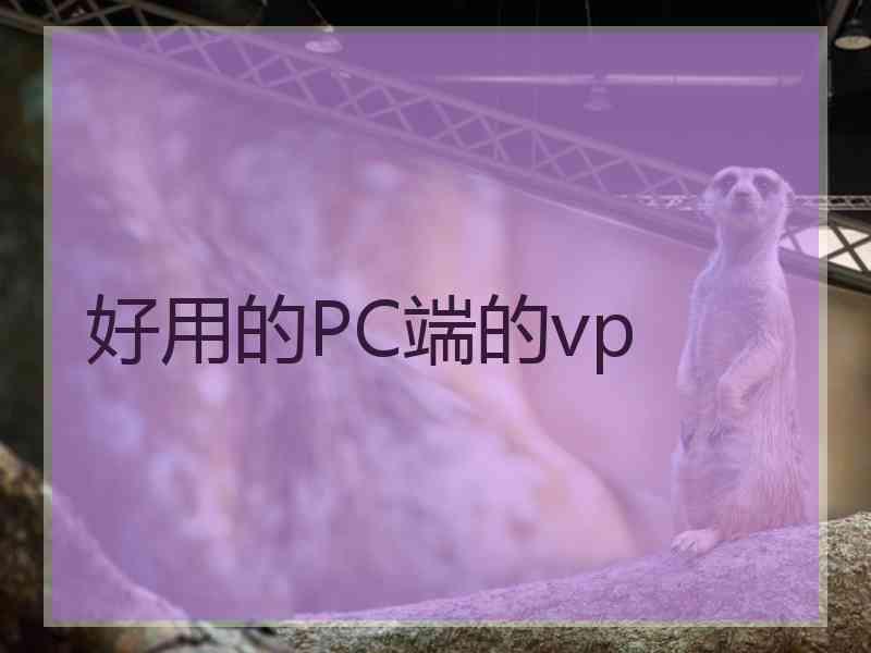 好用的PC端的vp