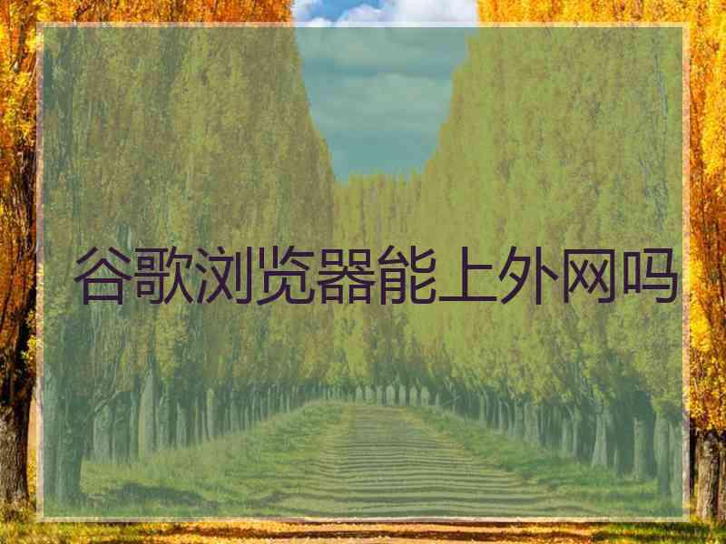谷歌浏览器能上外网吗