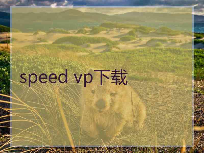 speed vp下载