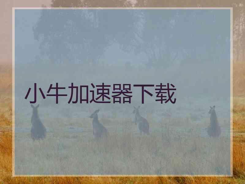 小牛加速器下载
